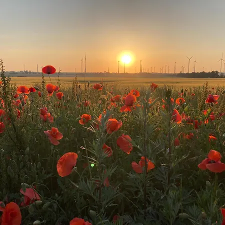 In Der Alten Schnitterkaserne * Prenzlau