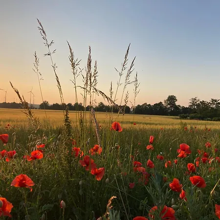 In Der Alten Schnitterkaserne Daire Prenzlau