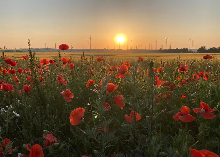 In Der Alten Schnitterkaserne * Prenzlau