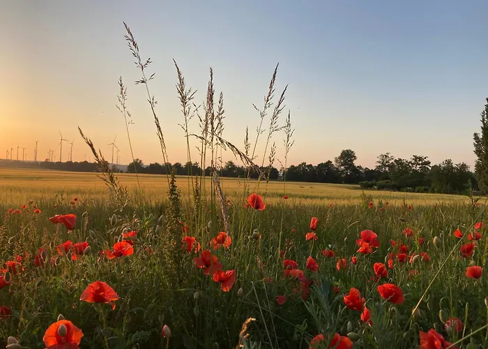 In Der Alten Schnitterkaserne Lägenhet Prenzlau